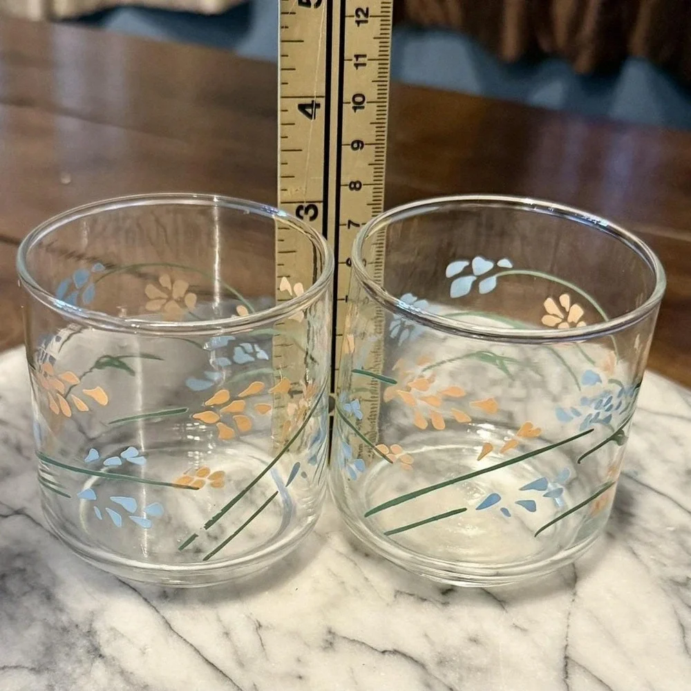 12pc VTG 1950s Mexican Termocrisa Glass Glasses Peach Blue Floral Flowers Mexico